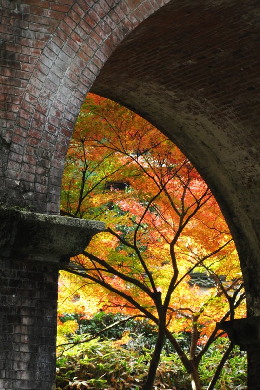 Eikandocho, Sakyo Ward, Kyoto, Kyoto Prefecture 606-8445, Japan by escapizm-dreamer