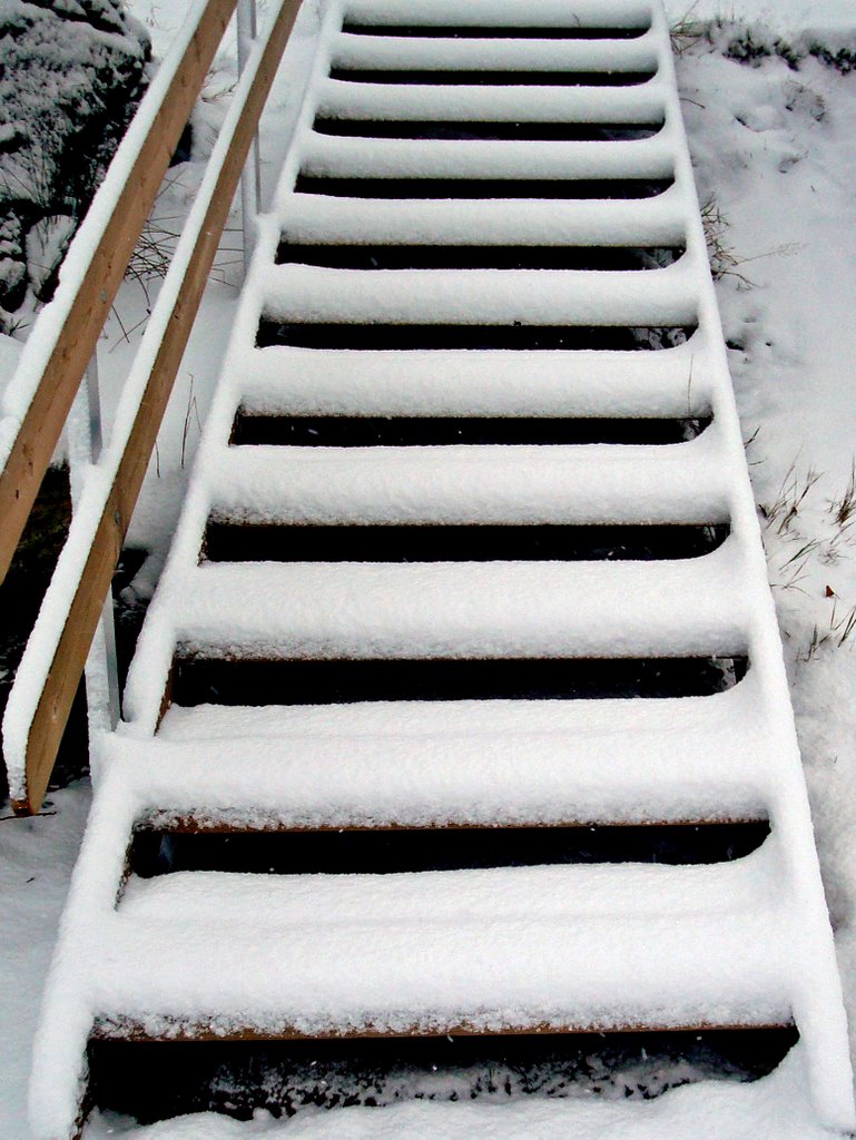 "Mind your step". Ladder in a children's playground. by Amelia Royan