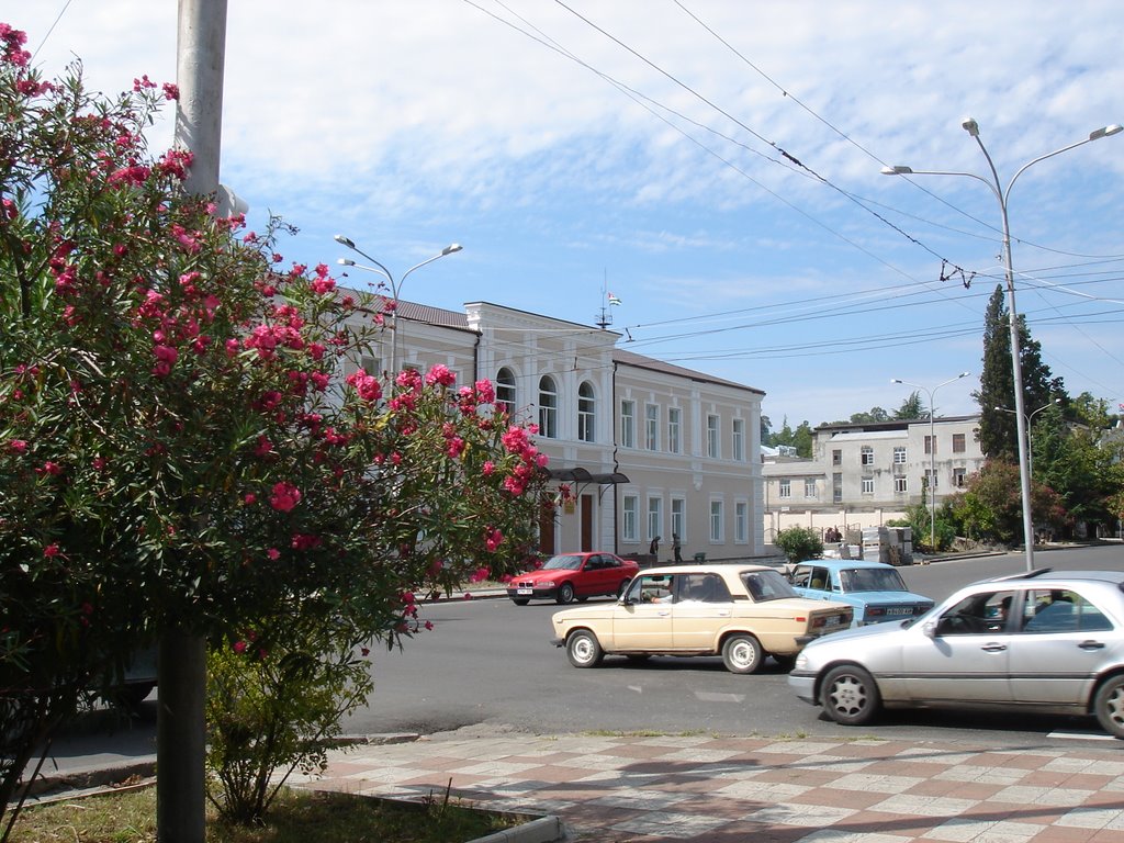 Tzar Leon Avenue by Victor Sokolov