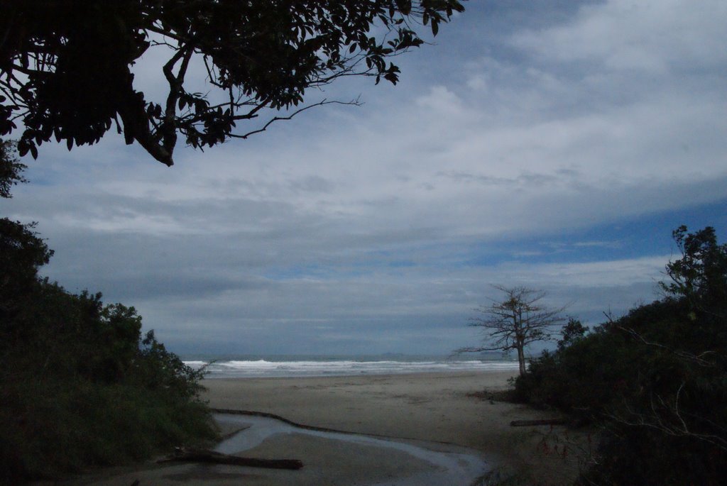 Itamambuca beach, north end by János Hajas