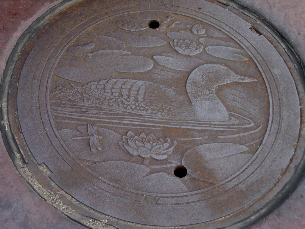 Loon Manhole Cover by Carol Jackson