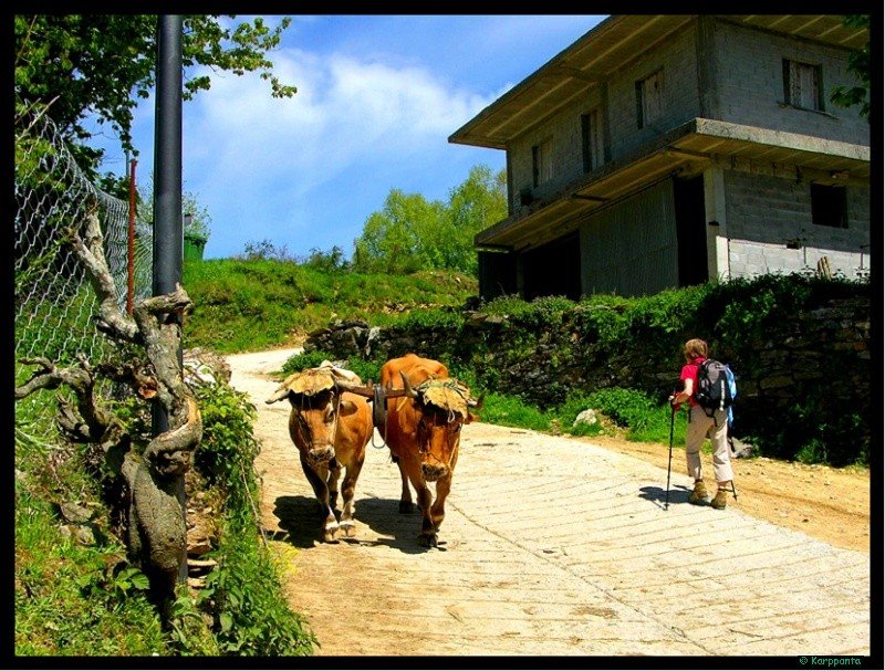 Saliendo de la Laguna - Camino de Santiago by Karp Panta