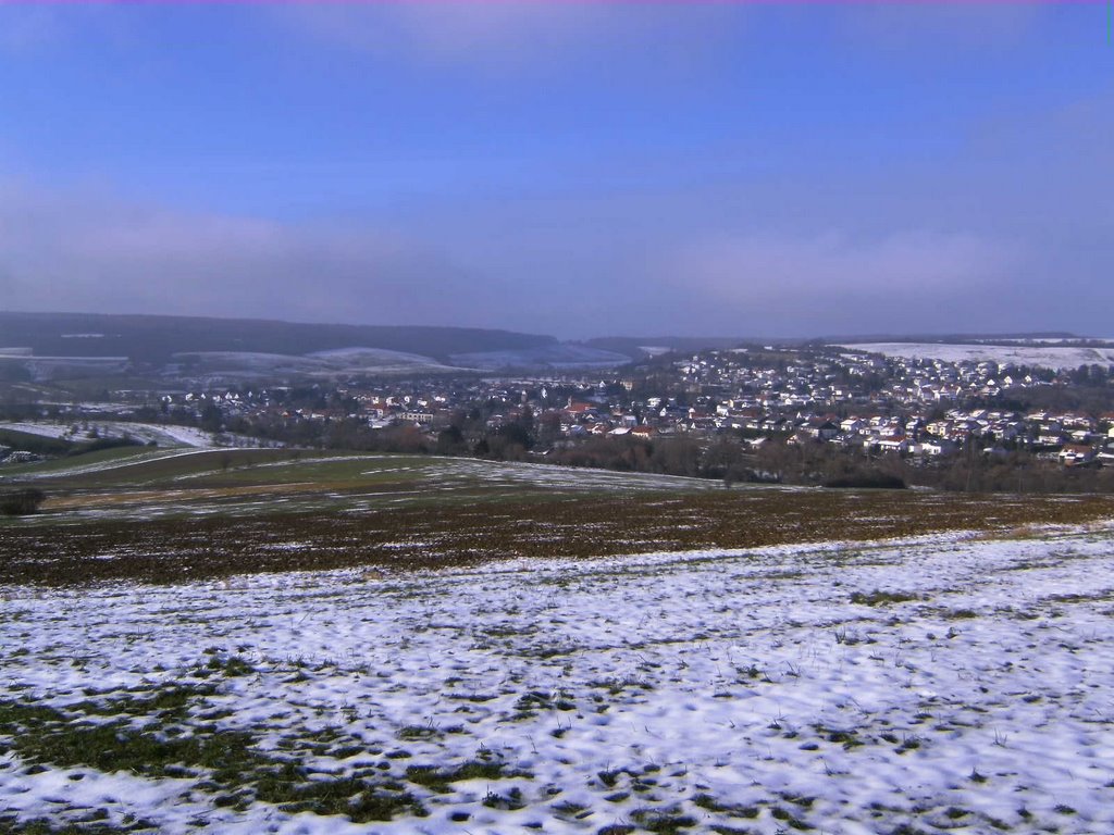 Blick vom Alfred-Döblin-Weg auf Bliesransbach by dimaweb