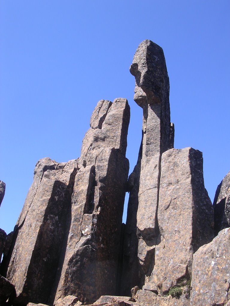 Cradle Mountain. Rocks by Roger Coates