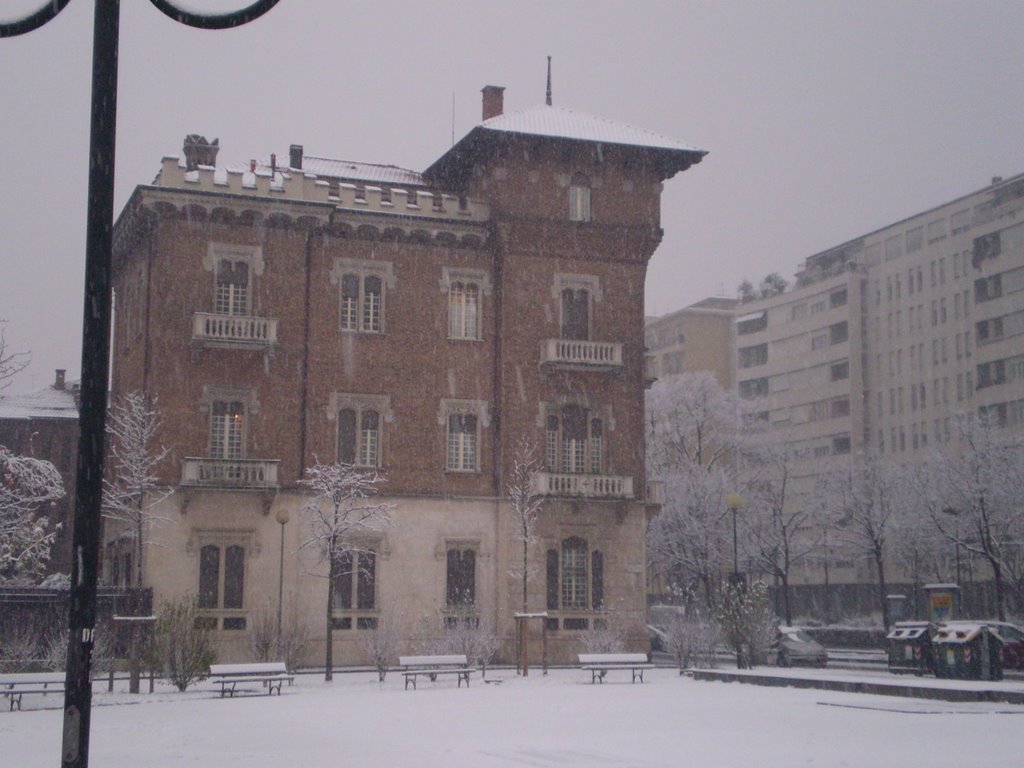 Corso Duca degli Abruzzi by Gonguco