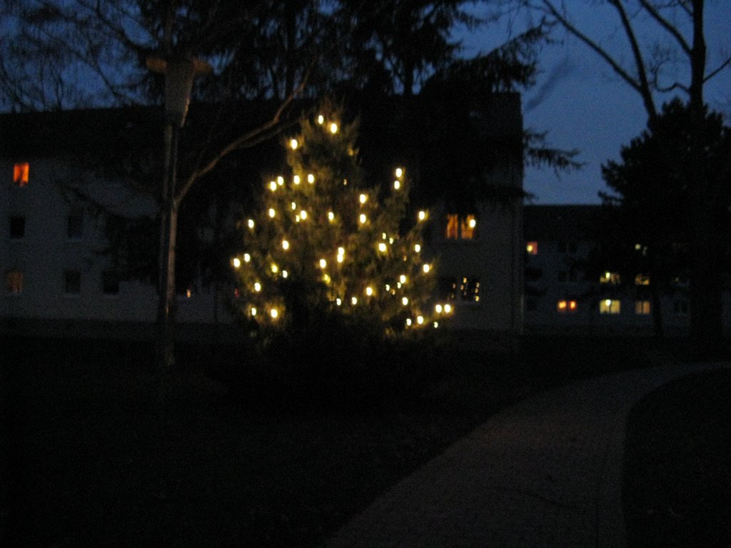 Weihnachtsbaum für Vingst 2008 by 1973 OLDSMOBILEDELTA…