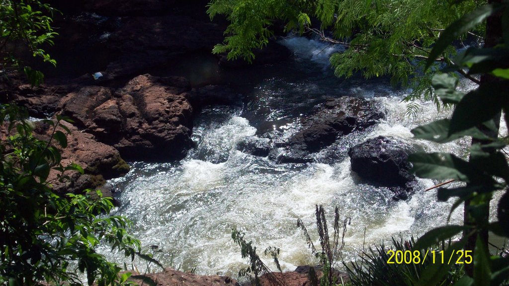 Salto de jardin america by DIEGO RAMIREZ