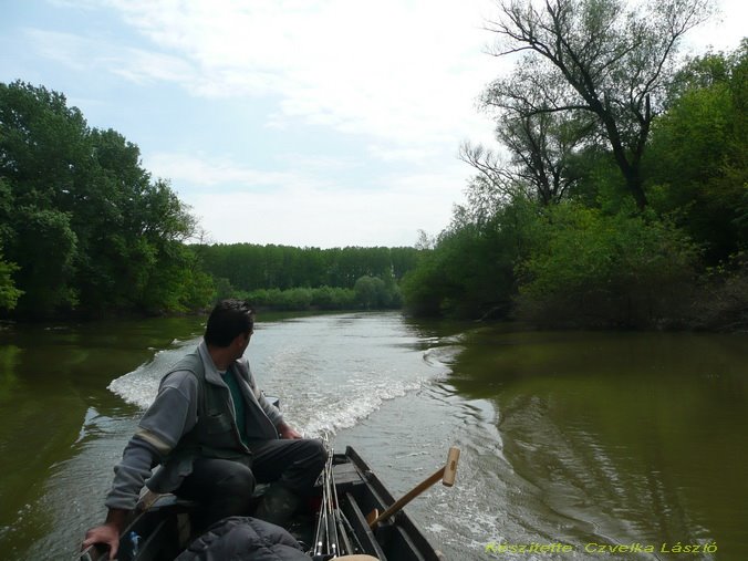 Tisza-Sajó torkolat by Czvelka László