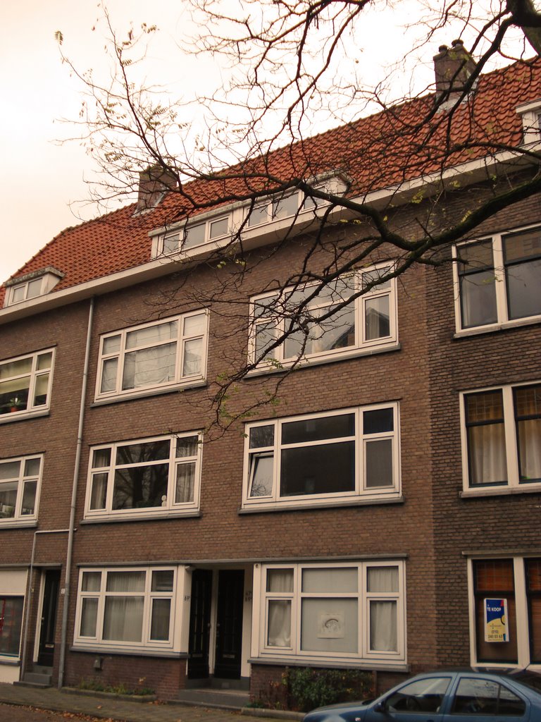 Borgesiusstraat by wimvanderheijden