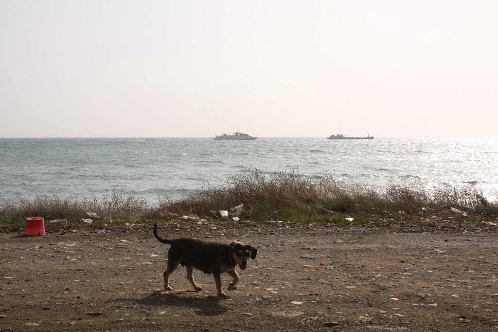 ΠΑΡΑΛΙΑ - SEA VIEW by PanagiMariosCyprus