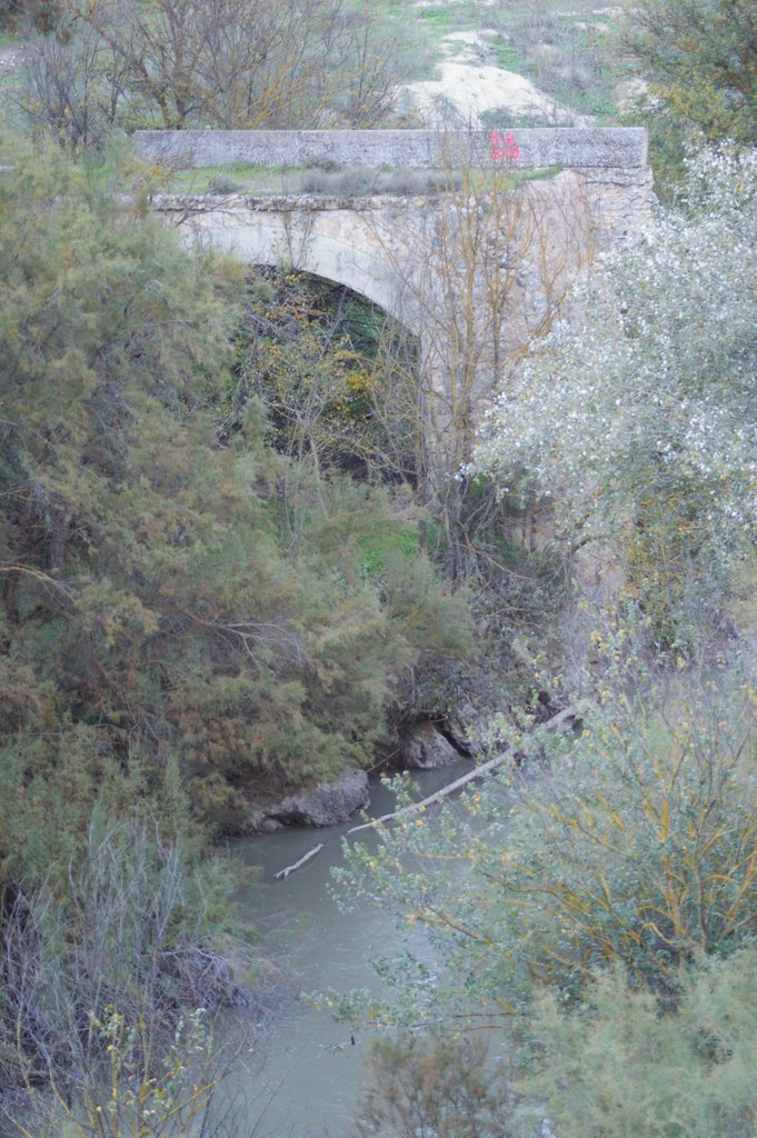 Moraleda de Zafayona, Granada, Spain by jose a molina