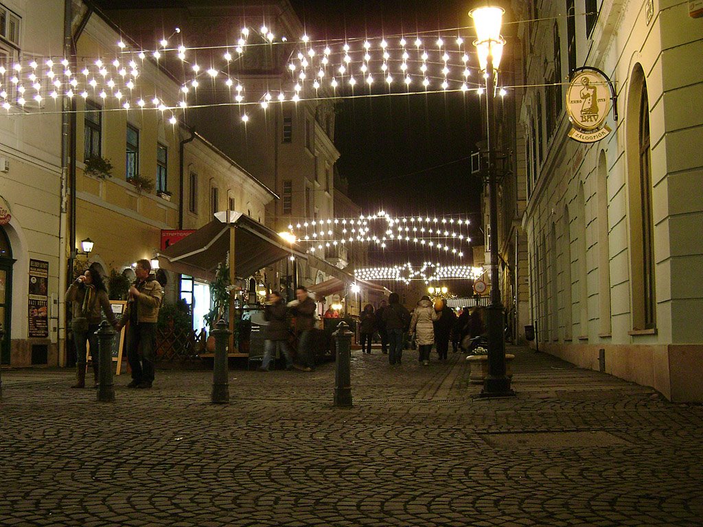 At the end of the mall Baross utca, Nov.28,2008 by PanoramioHungary