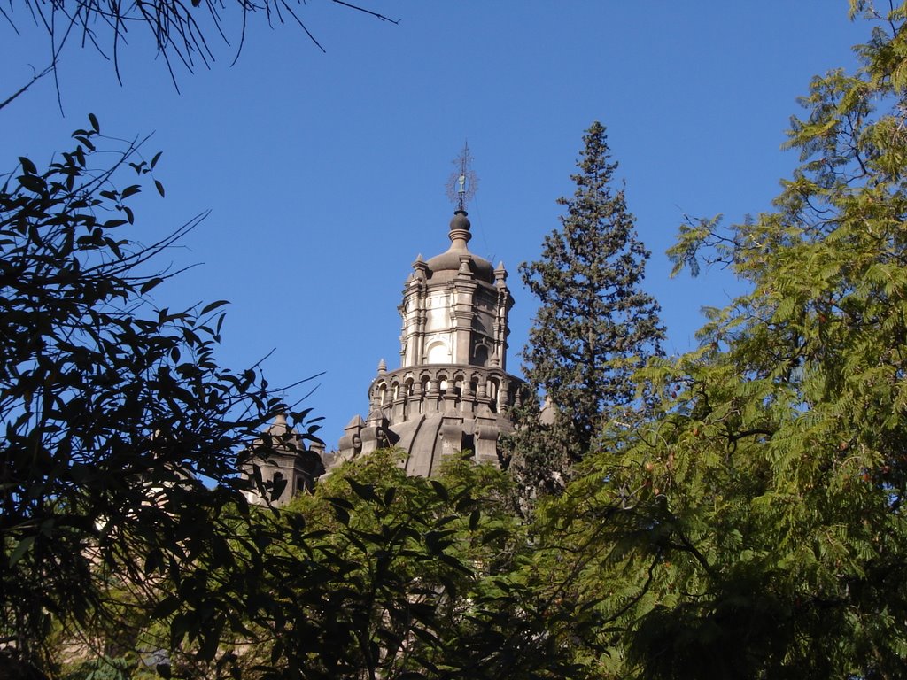 Cúpula, Catedral, Córdoba Capital Argentina by Juan Matías Sánchez