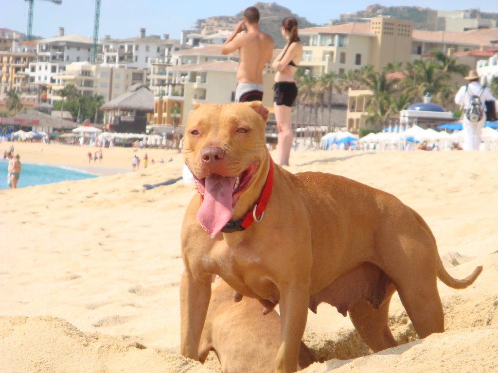 Nena en el medano beach by señorpizza