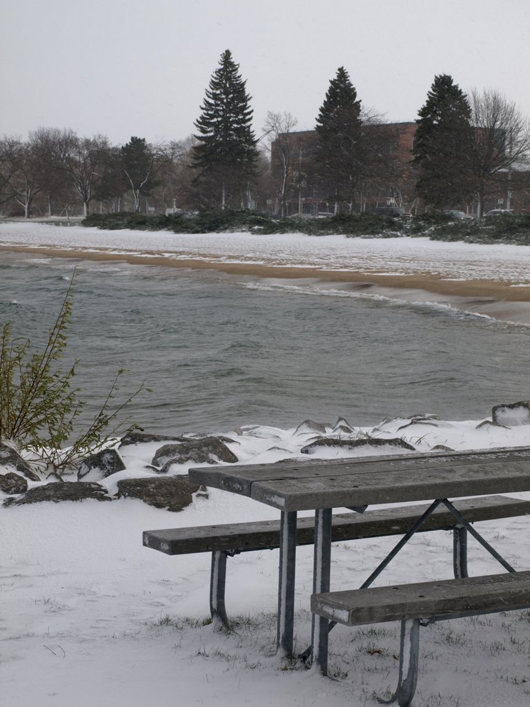 Beach in Early Winter by Elizabeth K.