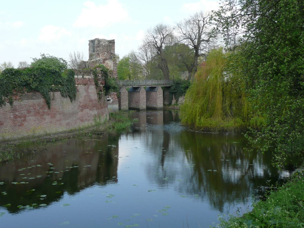 Holland-Batenburg by eremurus