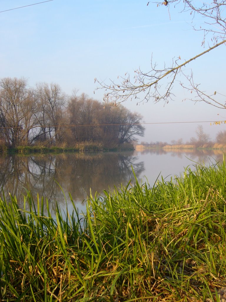 Târgu Mureș, Romania by Tekezer Balázs