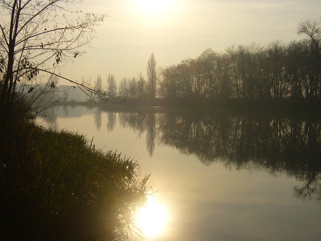 Târgu Mureș, Romania by Tekezer Balázs