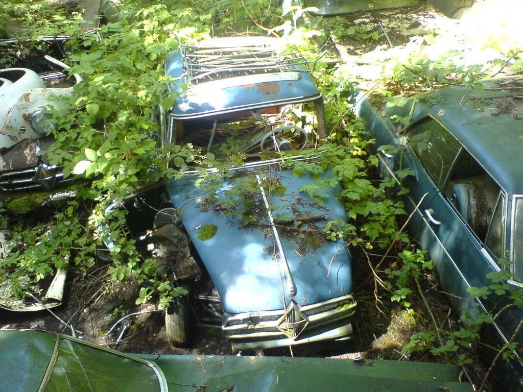 Autofriedhof Kaufdorf by daeBree