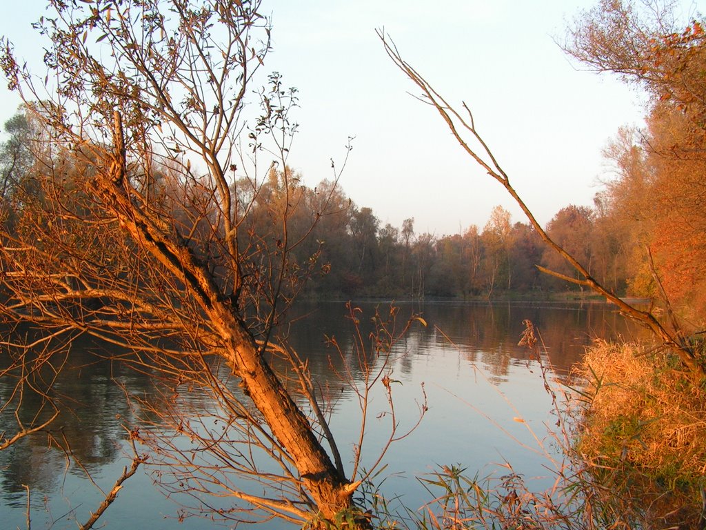 Parco del ticino - Lanca di Bernate Ticino by Claudio Nosotti