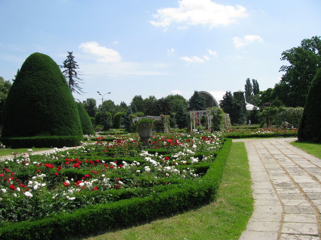 Timisoara - Parcul Rozelor - Roses Park by cristian_manta