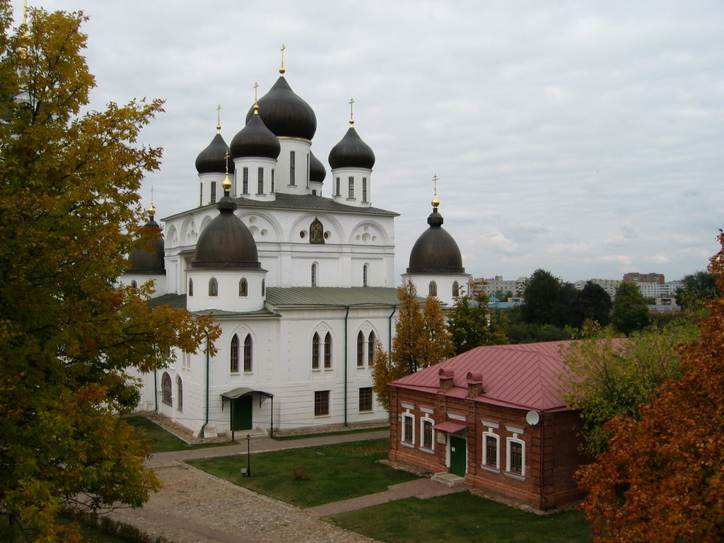 Assumption Cathedral by Phil Johnson