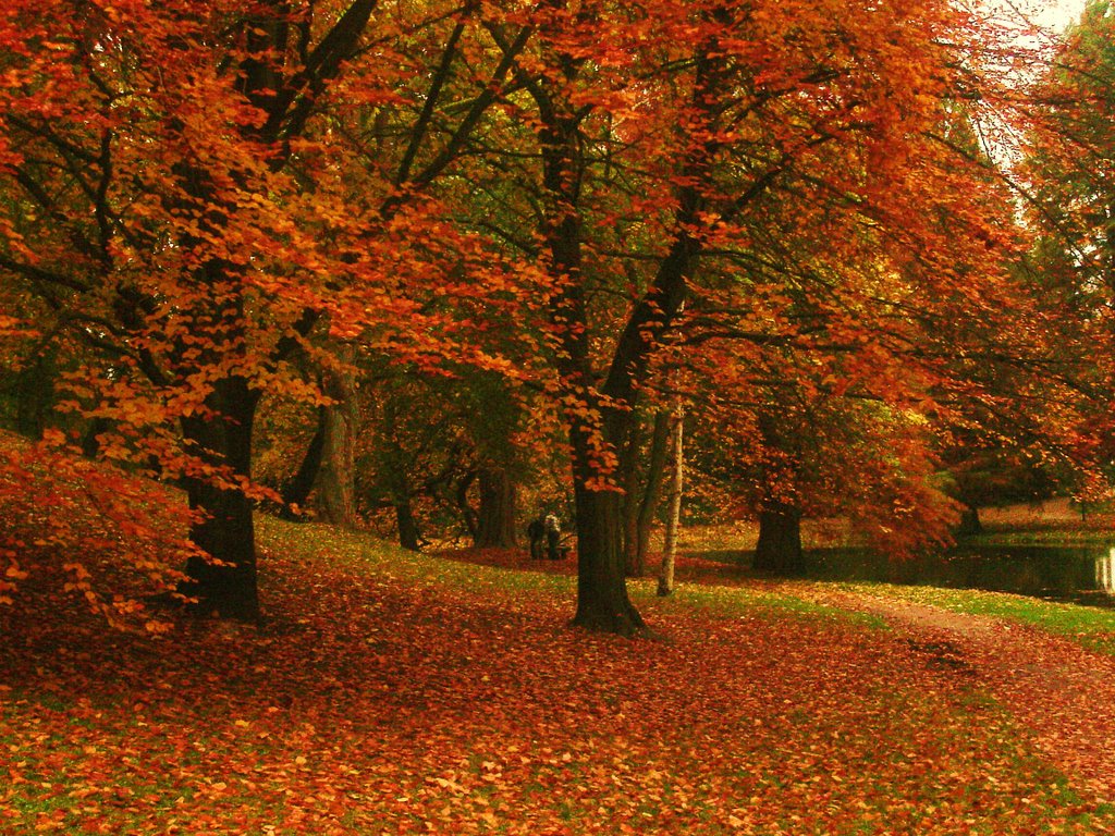 Herbst im Schlosspark by mellimaus