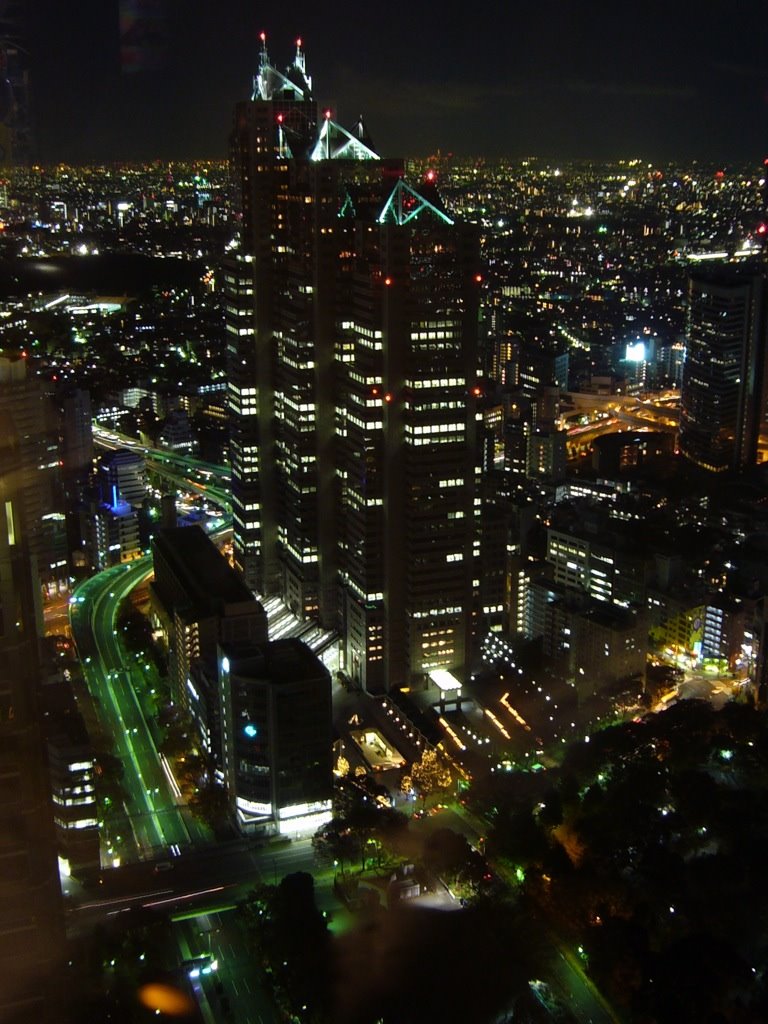 Park Hyatt Tokyo Hotel (パーク・ハイアット東京) by Roberto Jung Drebes