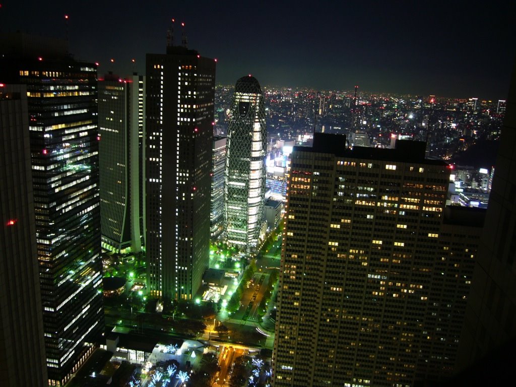 Sompo Japan Bulding (損保ジャパン・ビル) and Modo Kaguen Cocoon Tower (モード学園コクーンタワー) by Roberto Jung Drebes