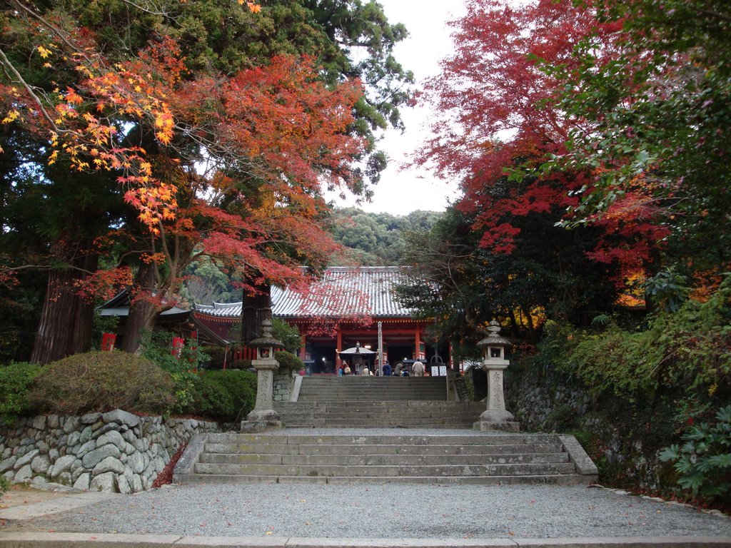 Kanshin-ji temple 観心寺 by shinshukai