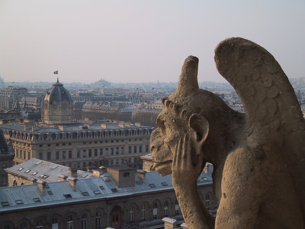 Paris view from Notre Dame with Gargoyle by MichaelB