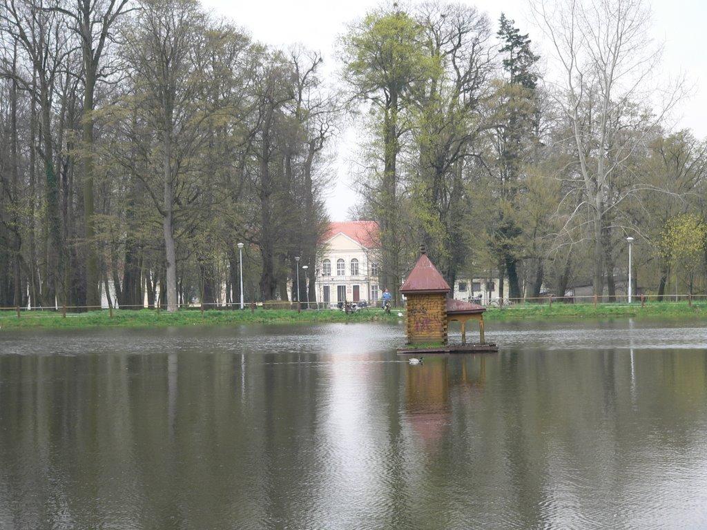 Widok na pałac by Daldron