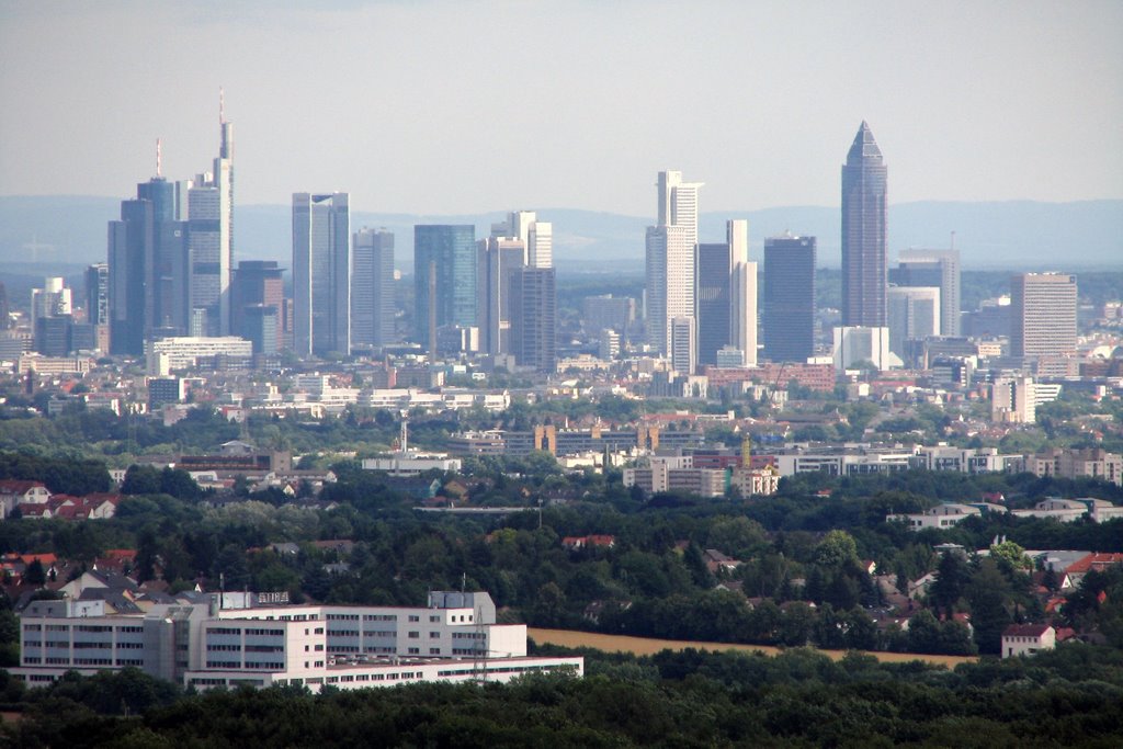 Frankfurt am Main, Blick von Mammolshain aus by gerhardknoe