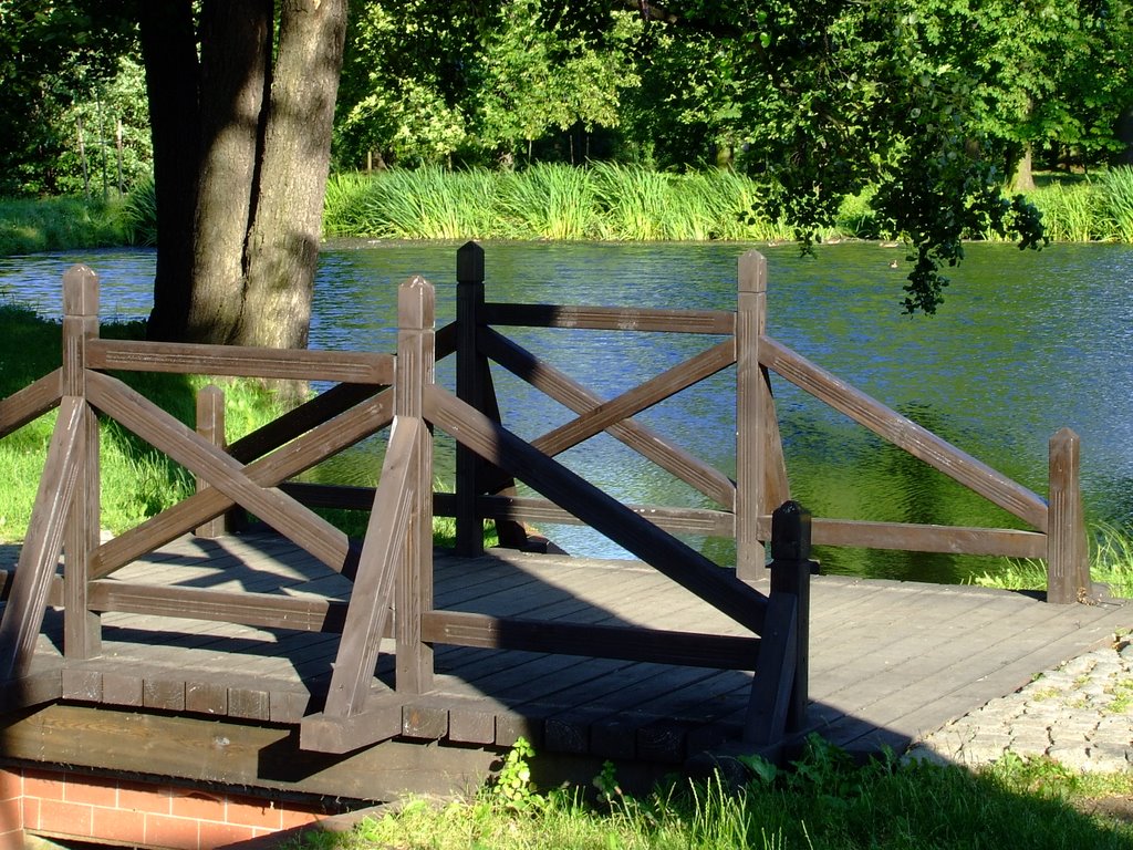 Little bridge in Park Brochowski by Tomek Kliber