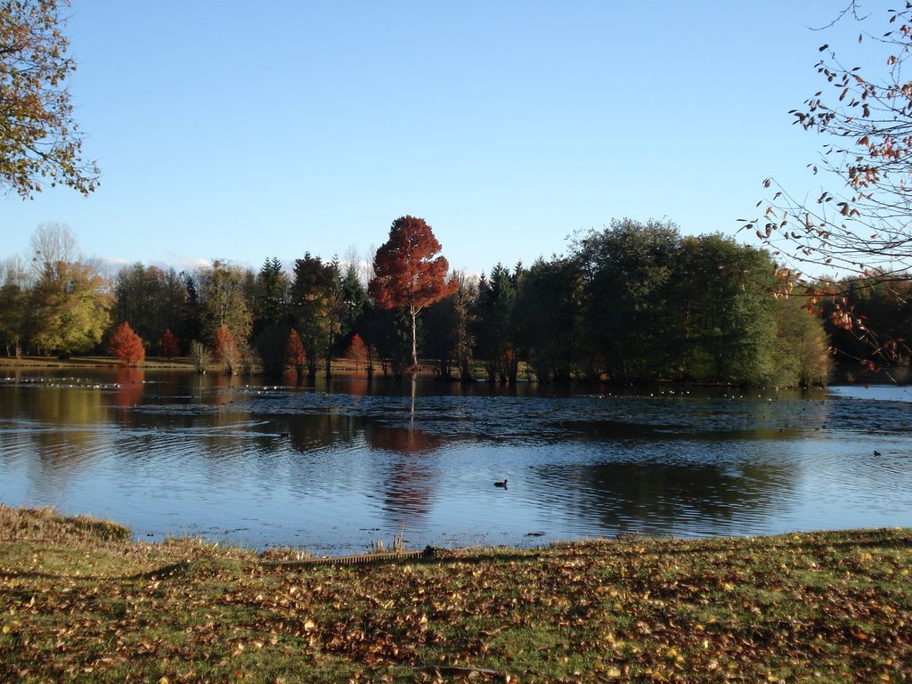 La Ferté Vidamme by Sybille de B.