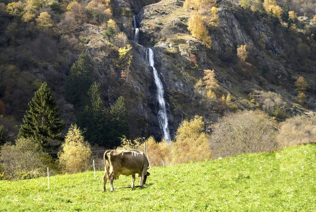 Partschinger Wasserfall by Frank H. aus B.