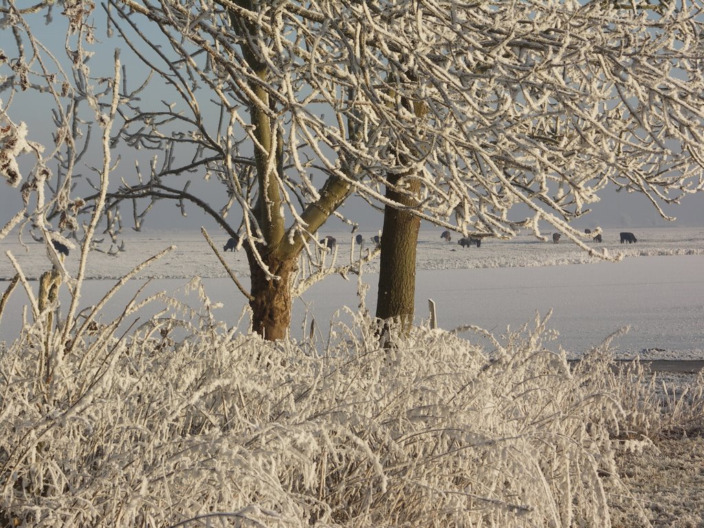 Oostvaardersplassen by PimKattouw