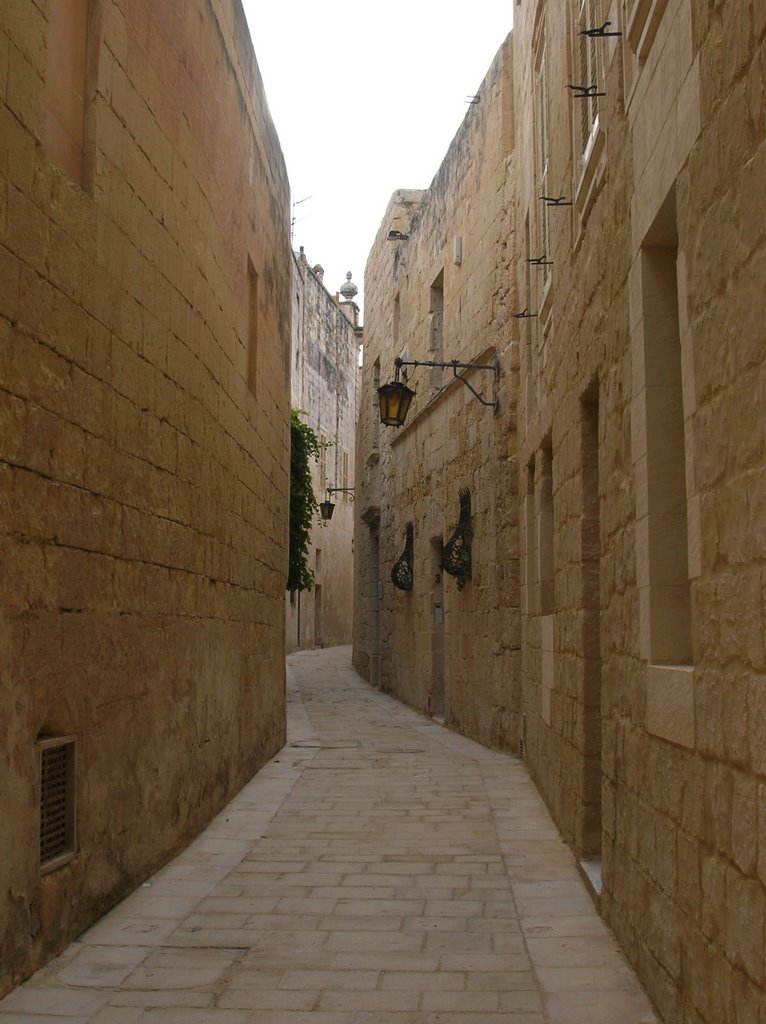 Mdina Street by Medellee