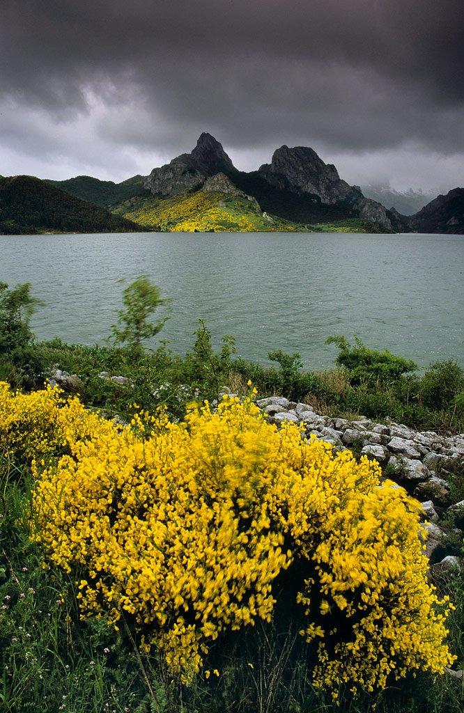 Pantano de Riaño by Fernando Ruiz