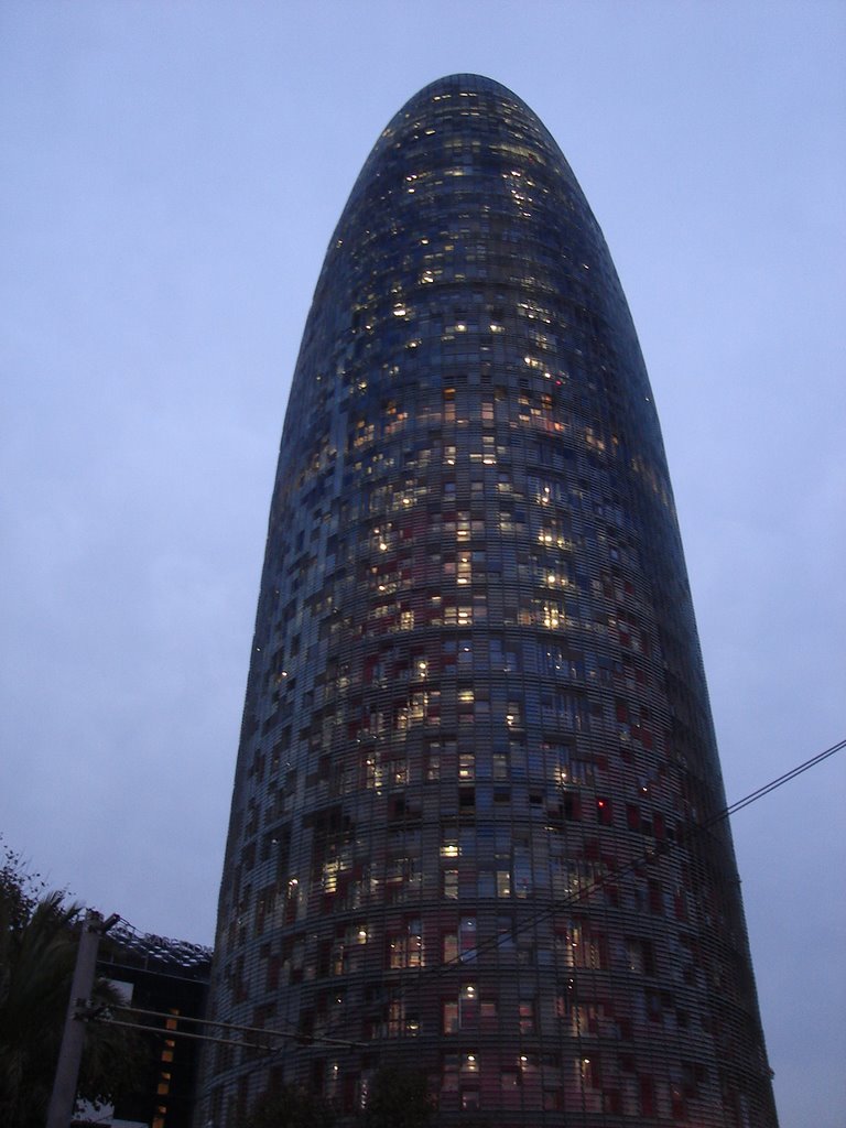 Torre Agbar by laura w