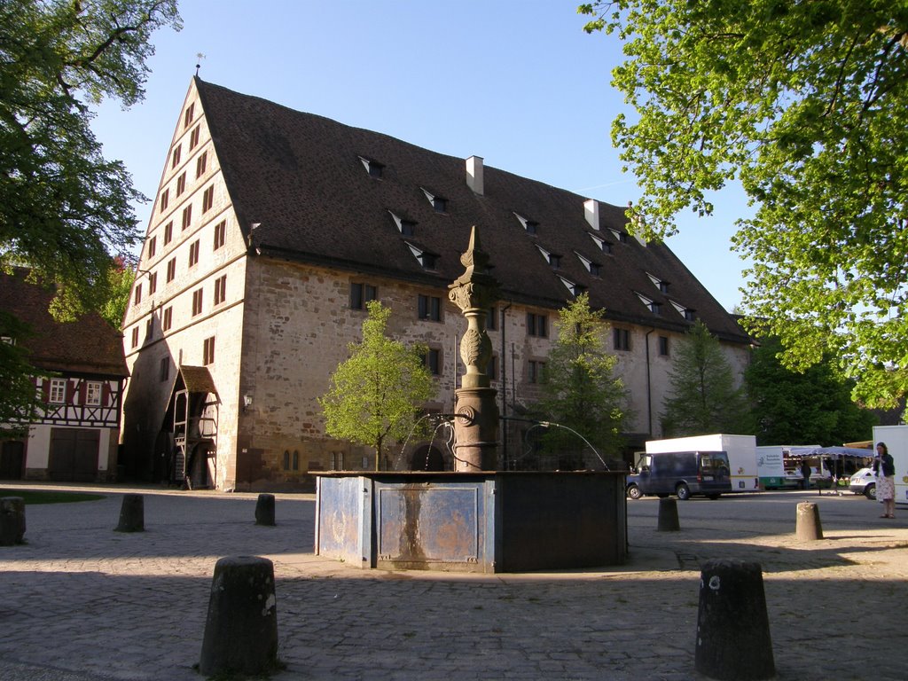 Brunnen bei Klosterhof, Maulbronn, Deutschland by kaarvea