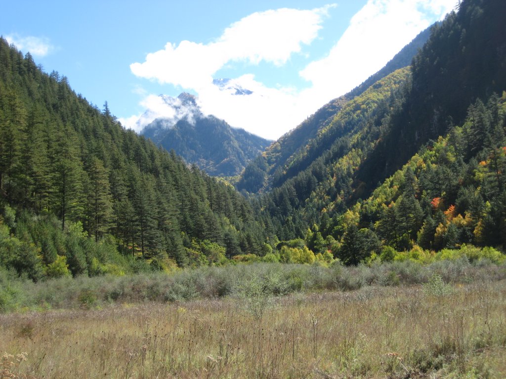 Jiuzhaigou, Aba, Sichuan, China by rd08