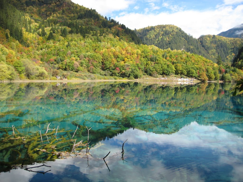 Jiuzhaigou, Aba, Sichuan, China by rd08