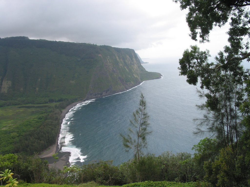 Waipio Overlook by mahinui