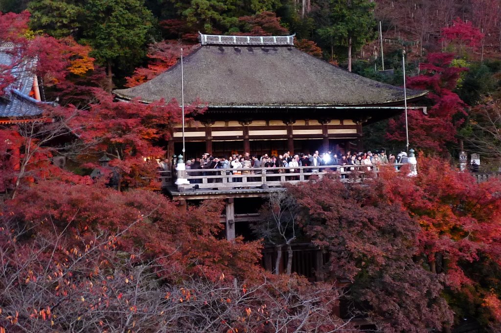 京都清水寺 by Cheuk