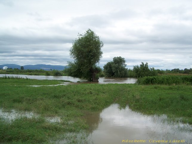 Árad a Sajó by Czvelka László