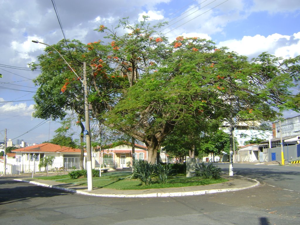 Parque Industrial - Praça Yolanda Baroni by Alexander Denarelli