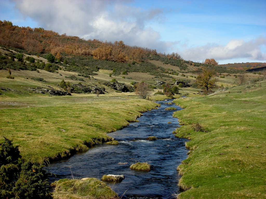 GUADALAJARA.HAYEDO TEJERA NEGRA. RÍO LILLAS by josé e nieto