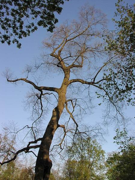 Park Czartoryskich by Paweł L.