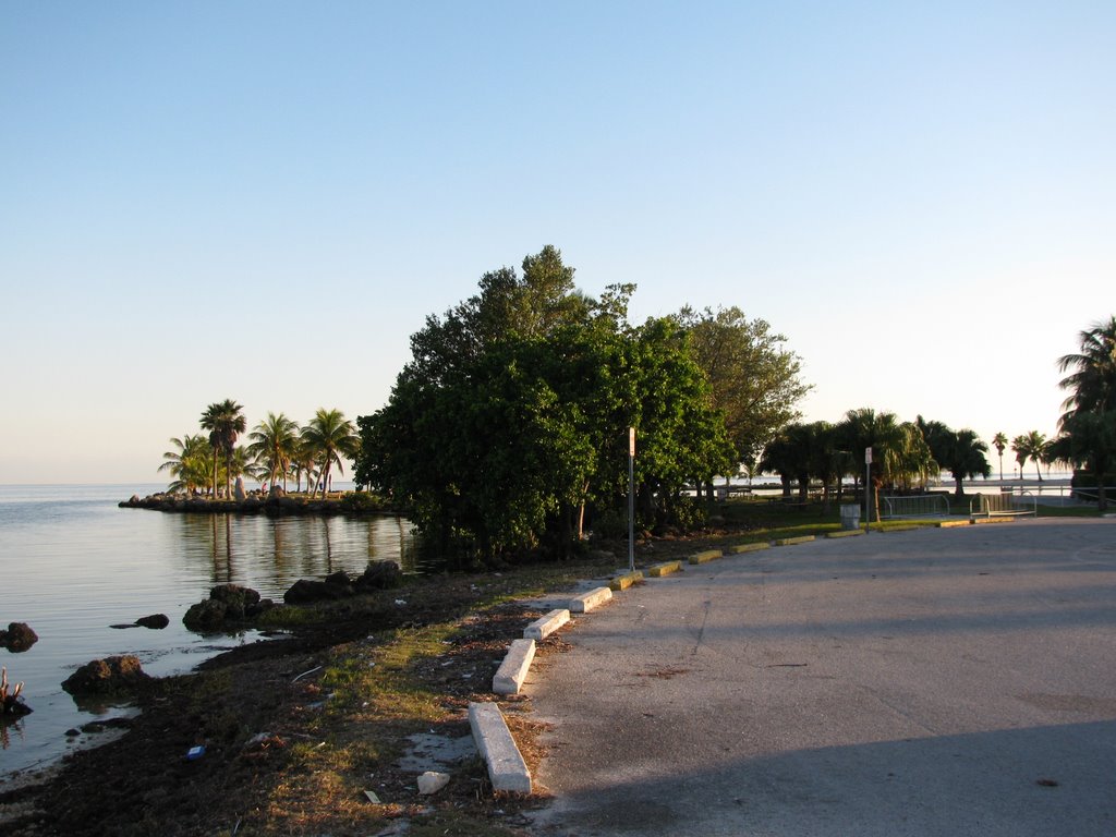 Matheson Hammock park by Ronnie lorist